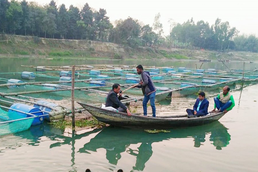 Cultivators feeding fishes in floating enclosures in the Boral river of Pabna on Tuesday — FE Photo
