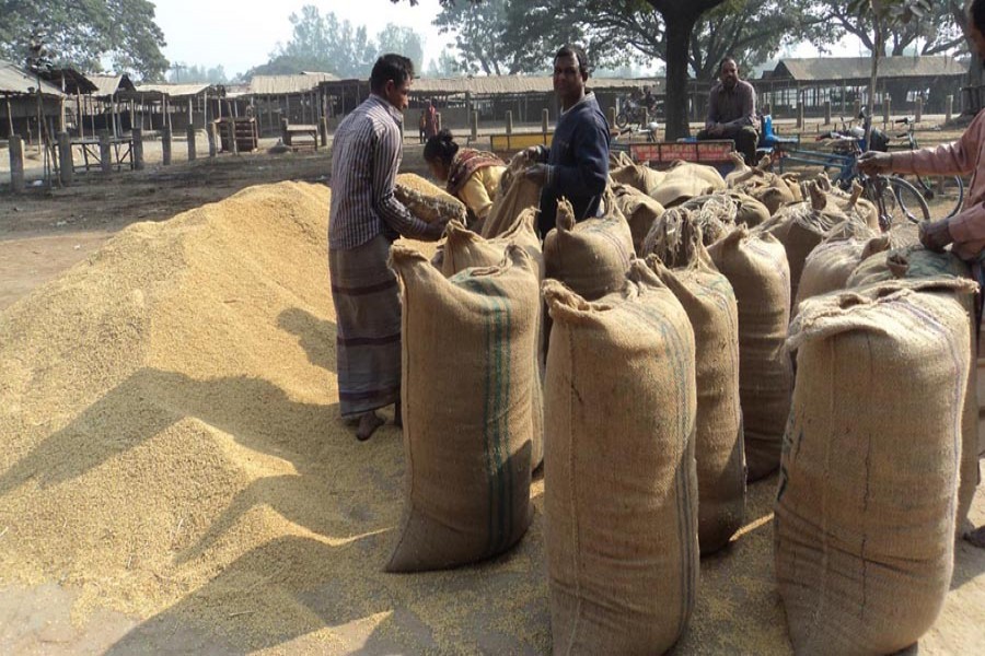 SIRAJGANJ: T-Aman paddy being packaged before being sent to the local market in Kazipur of Sirajganj on Saturday — FE Photo