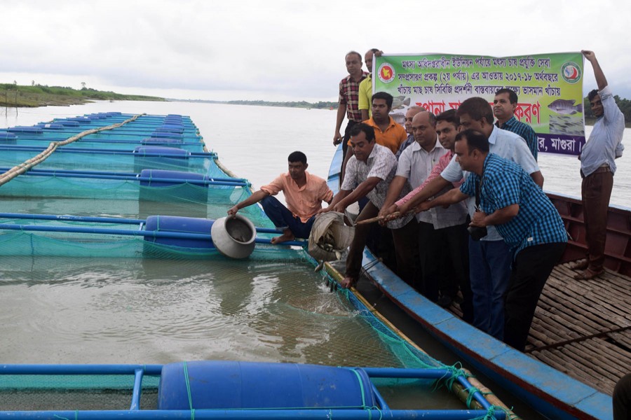 The inaugural ceremony of fish cultivation in cages in Modhumoti river under Mohammadpur upazila of Magura in progress recently — FE Photo