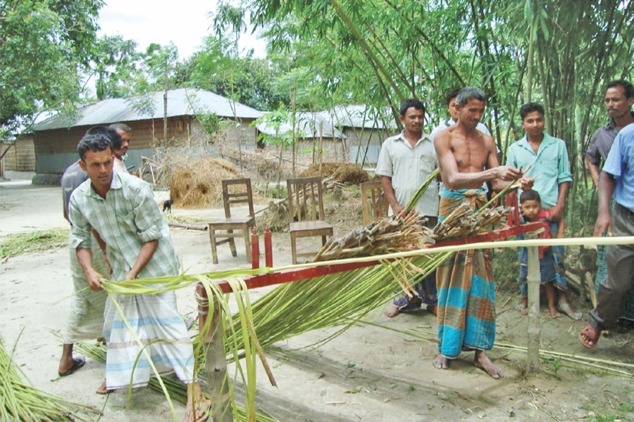 Ribbon retting method gaining popularity in Nilphamari | The Financial  Express