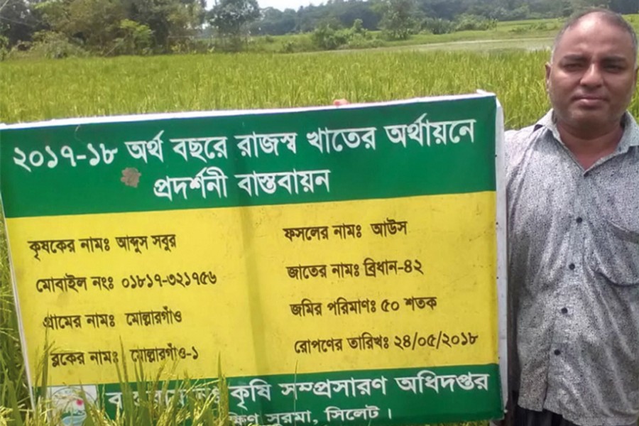 Farmer Abdus Sobur showing a DAE-supported Aus demonstration plot at Mollargaon under South Surma upazila of Sylhet on Tuesday — FE Photo