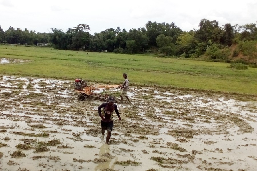 Farmers ploughing a piece of land for T-Aman cultivation in Beanibazar upazila of Sylhet on Thursday — FE Photo