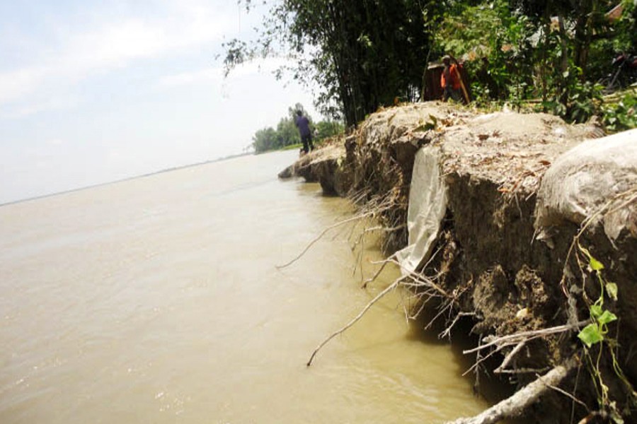 Erosion by the river Teesta has taken a serious turn at Kawnia upazila in Rangpur — FE Photo
