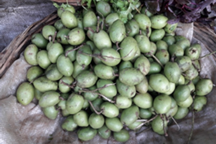 Tangail, Rangpur, Rajshahi olive growers get fair market prices The