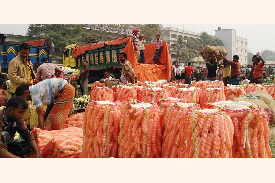 Labourers at a vegetable wholesale market in Shibganj upazila of Bogura district taking preparation to load a truck with locally-produced summer radish on Monday — FE Photo