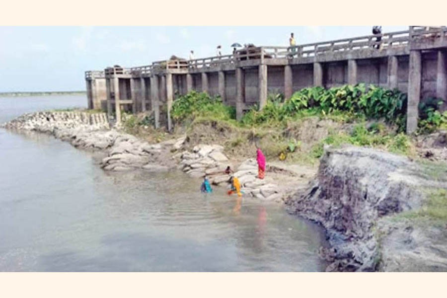 BOGURA: Erosion by the Jamuna river takes a serious turn in Sariakandi upazila under Bogura district. The photo was taken on Sunday — FE Photo