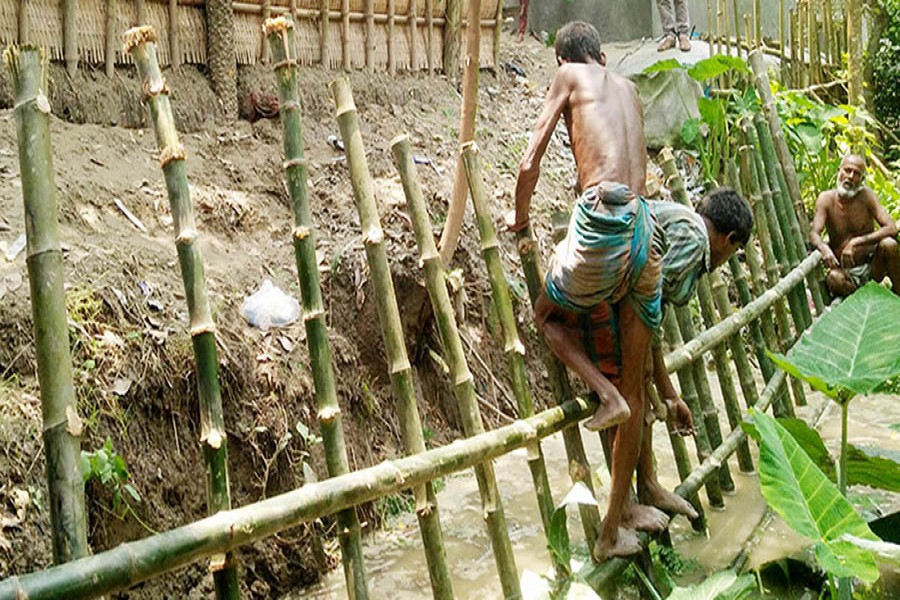 Villagers in Dhunot upazila of Bogura district erecting bamboo fence to save the village protection dam on Saturday — FE Photo