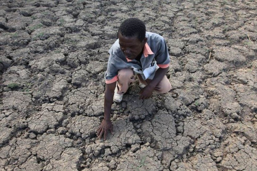 A farmer in Zimbabwe examines a field where crops once grew - AP