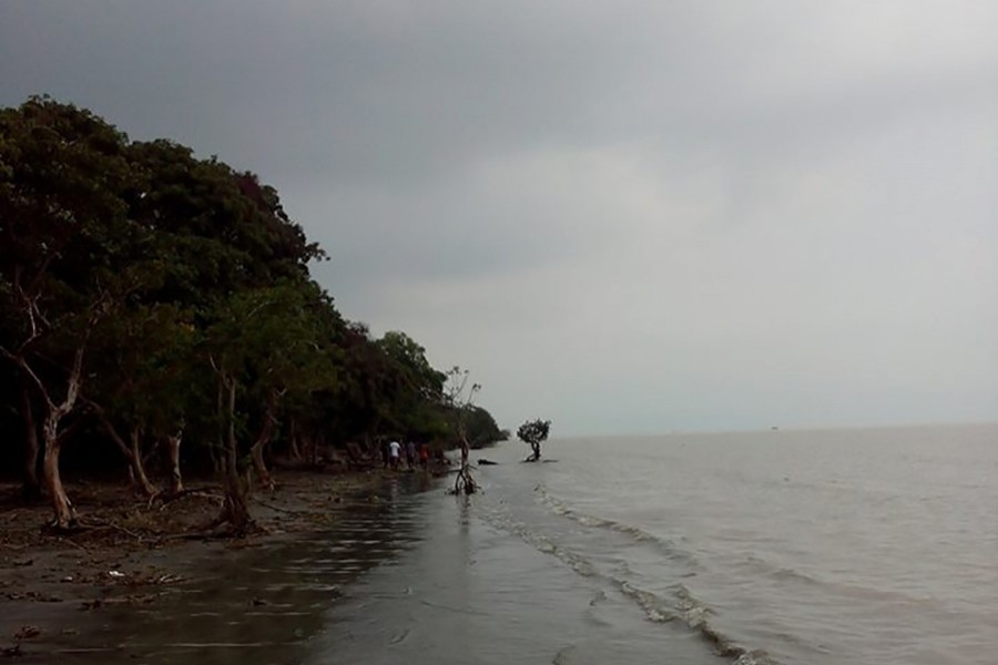 A view of Char Kukri Mukri island, situated in Bhola district. Photo: Social media