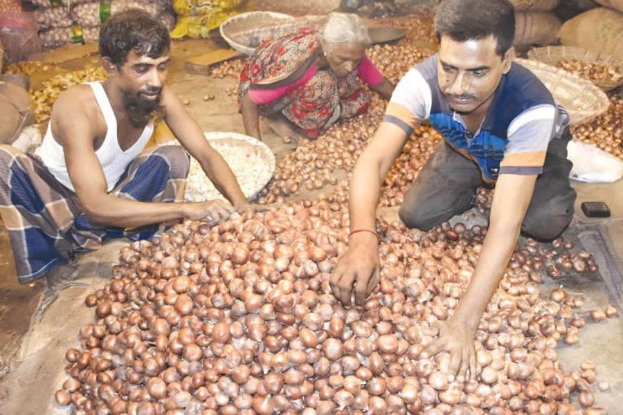 Labourers sorting out onion at a wholesale kitchen market under Akkelpur upazila of Joypurhat district — FE Photo