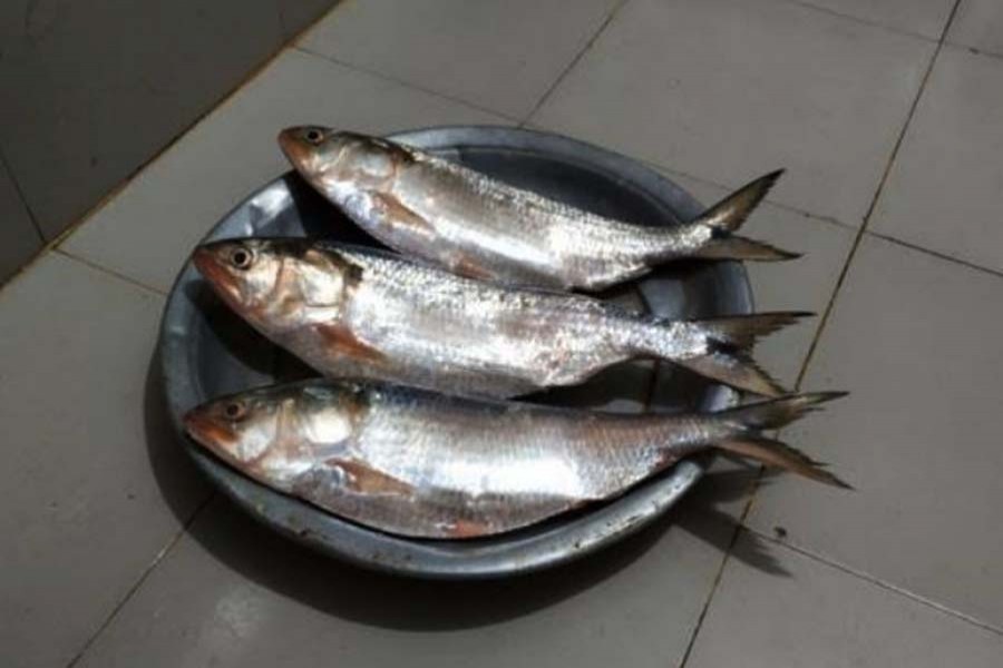 File Photo (Collected)