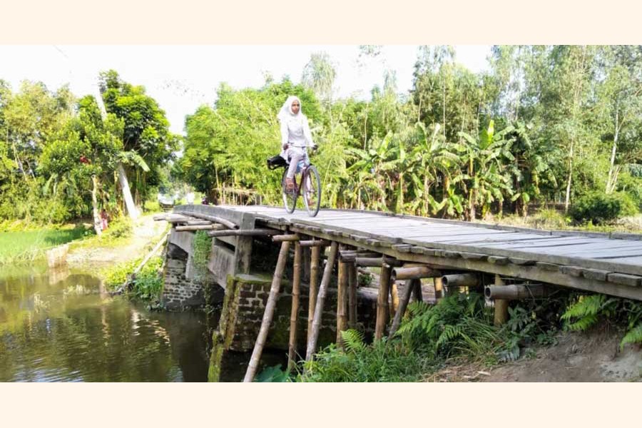 A girl crossing the Shoti river using the risky bamboo bridge by bicycle at Mohishamuri Dharapar village in Kaliganj upazila of Lalmonirhat — UNB Photo