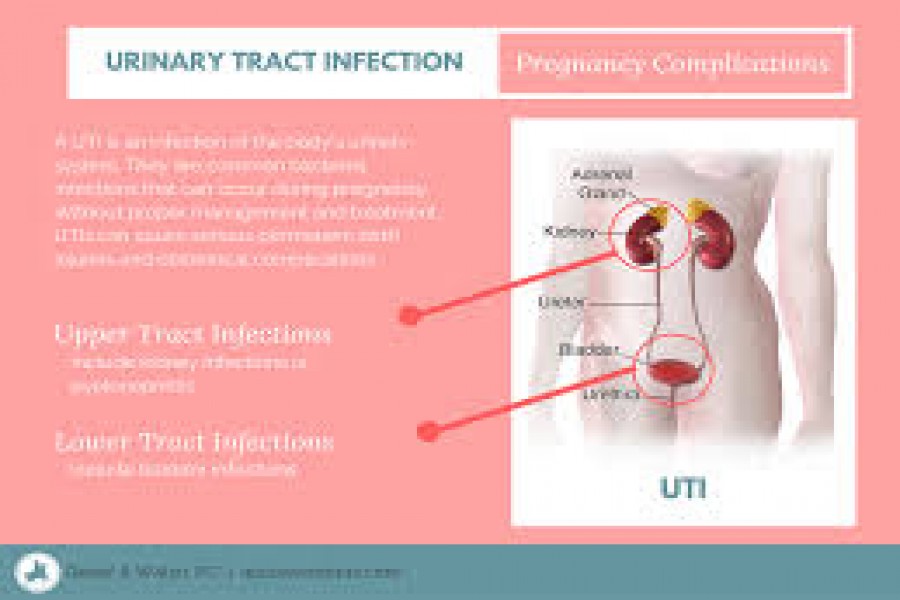 Prevention is better than cure Accessibility to clean toilets to fight
