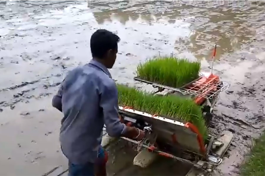 The photo was taken from a video footage