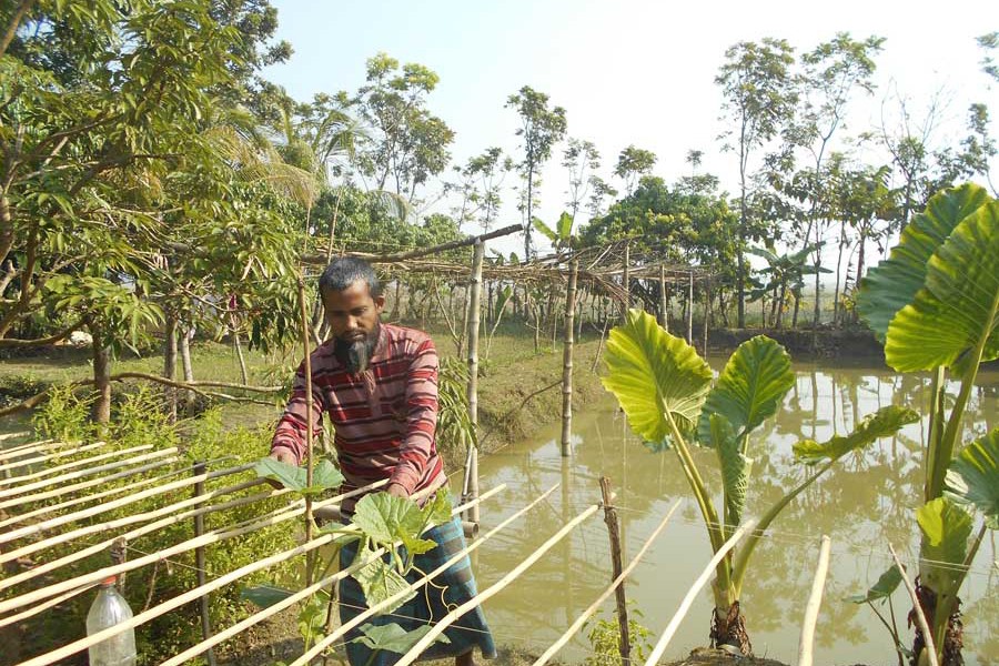 Amirul working at his farm in Magura Sadar upazila — FE Photo
