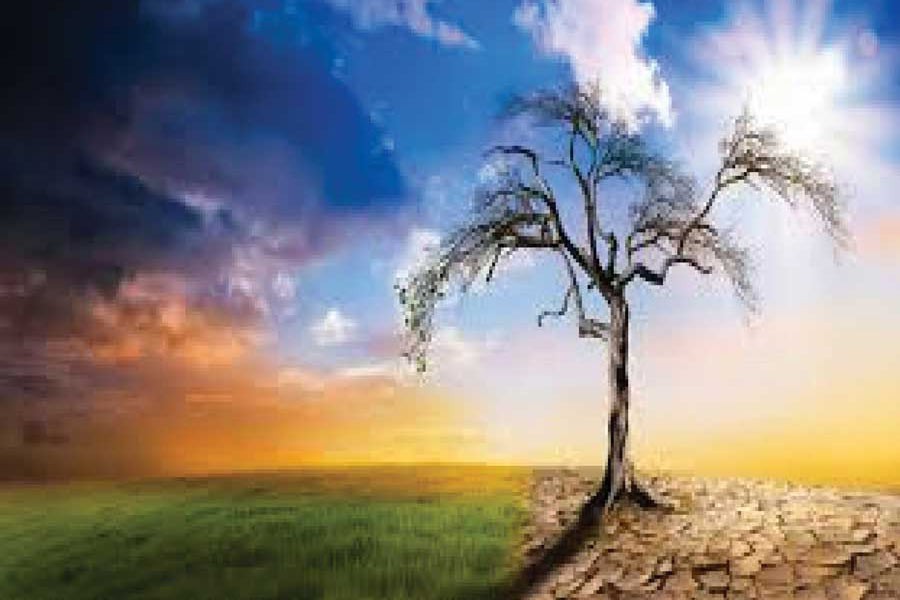 Addressing climate change. —Image credit: en.unesco.org