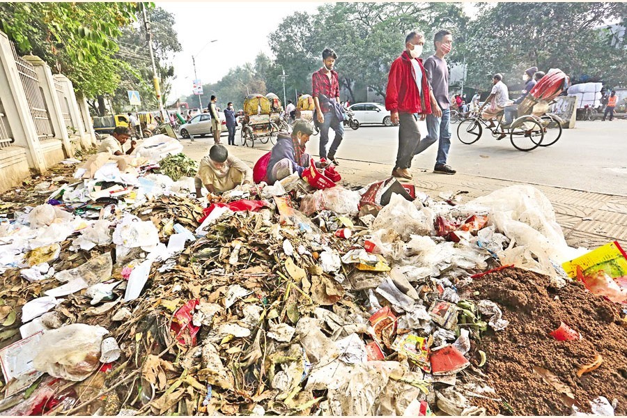 Dhaka's improper waste disposal begets mosquito menace The Financial