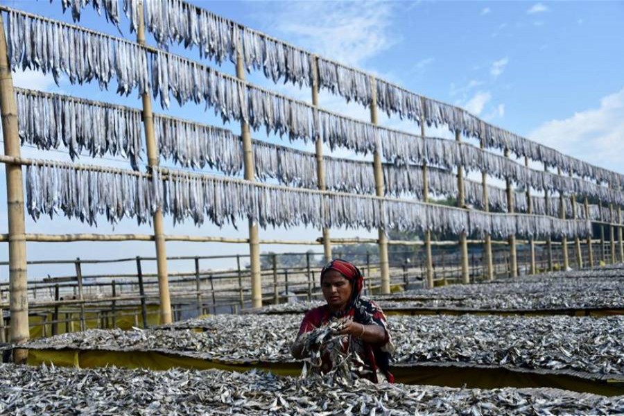 Dried fish processing plant a belated but important move The