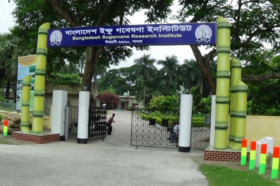 BSRI Needs 4 Scientific Officers Grade 9 Salary Scale The Financial 